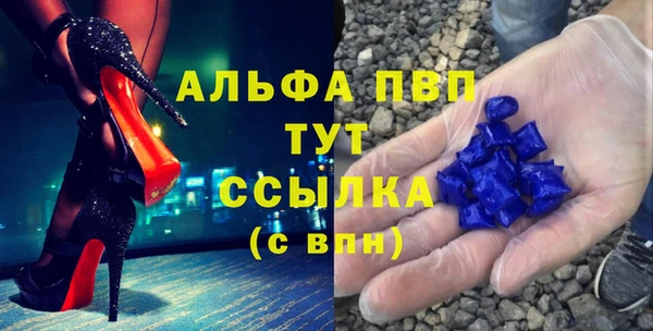 стаф Арсеньев