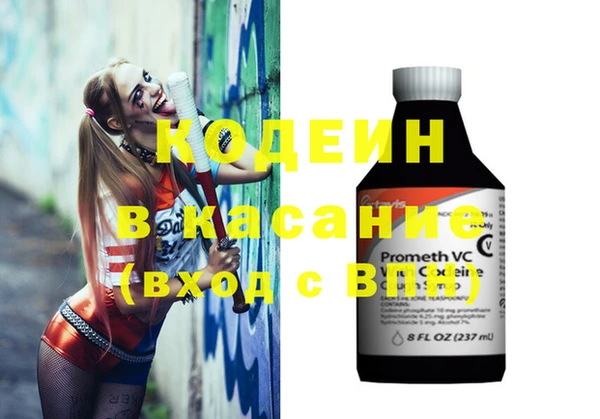 стаф Арсеньев