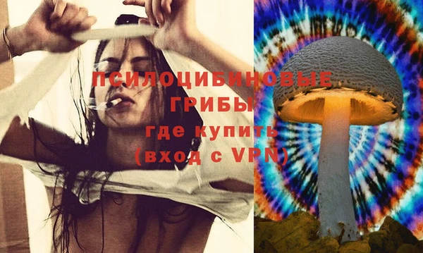 твердый Алексеевка