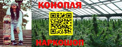 индика Чапаевск