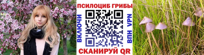 Псилоцибиновые грибы MAGIC MUSHROOMS  гидра ONION  Сибай 