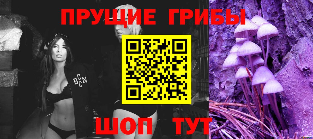 Галлюциногенные грибы Psilocybe Сибай